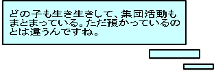 　どの子も生き生きして、集団活動も 　まとまっている。ただ預かっているの 　とは違うんですね。 
