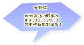 　　　　　　　　★ステージ  　12:30　シンドウアツコ＆岩橋信之ライブ 　13:00　ひかりフェスタ 　13:30　山野聡子さん 　　お馴染み、じっきぃさんのパフォーマンスも！ 
